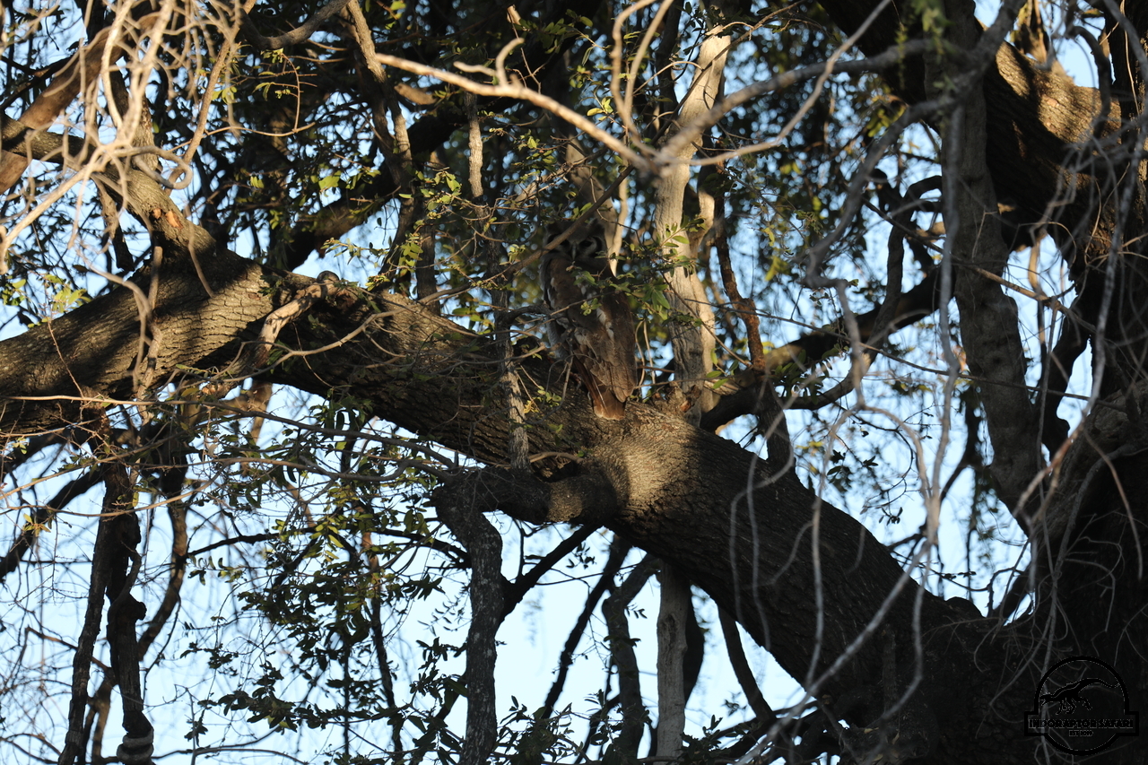 [381] 2019_06_22_12_37_40_Africa_Canon_EOS_5D_Mark_IV_IMG_0002485_00046.jpg