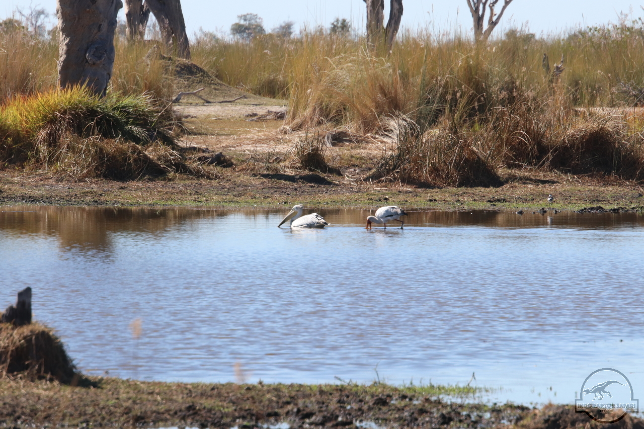 [386] 2019_06_23_10_25_05_Africa_Canon_EOS_77D_IMG_1160_00001.jpg