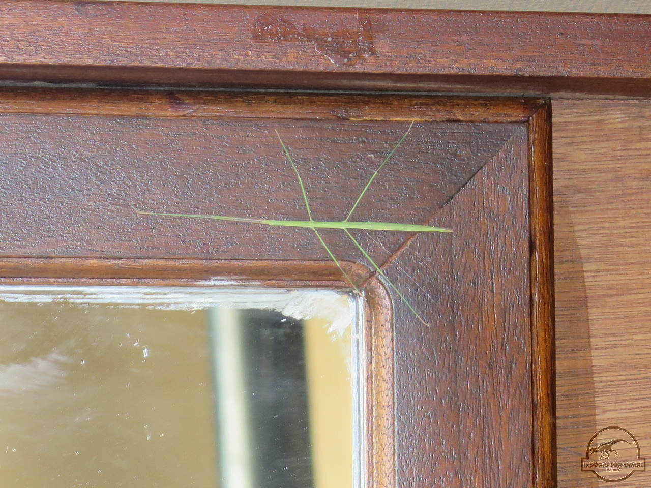 [421] 2019_07_02_00_16_24_Africa_Canon_PowerShot_G16_IMG_0003_00151.jpg