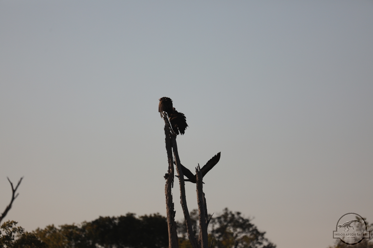 [435] 2019_06_20_12_41_31_Africa_Canon_EOS_5D_Mark_IV_IMG_0000798_00064.jpg