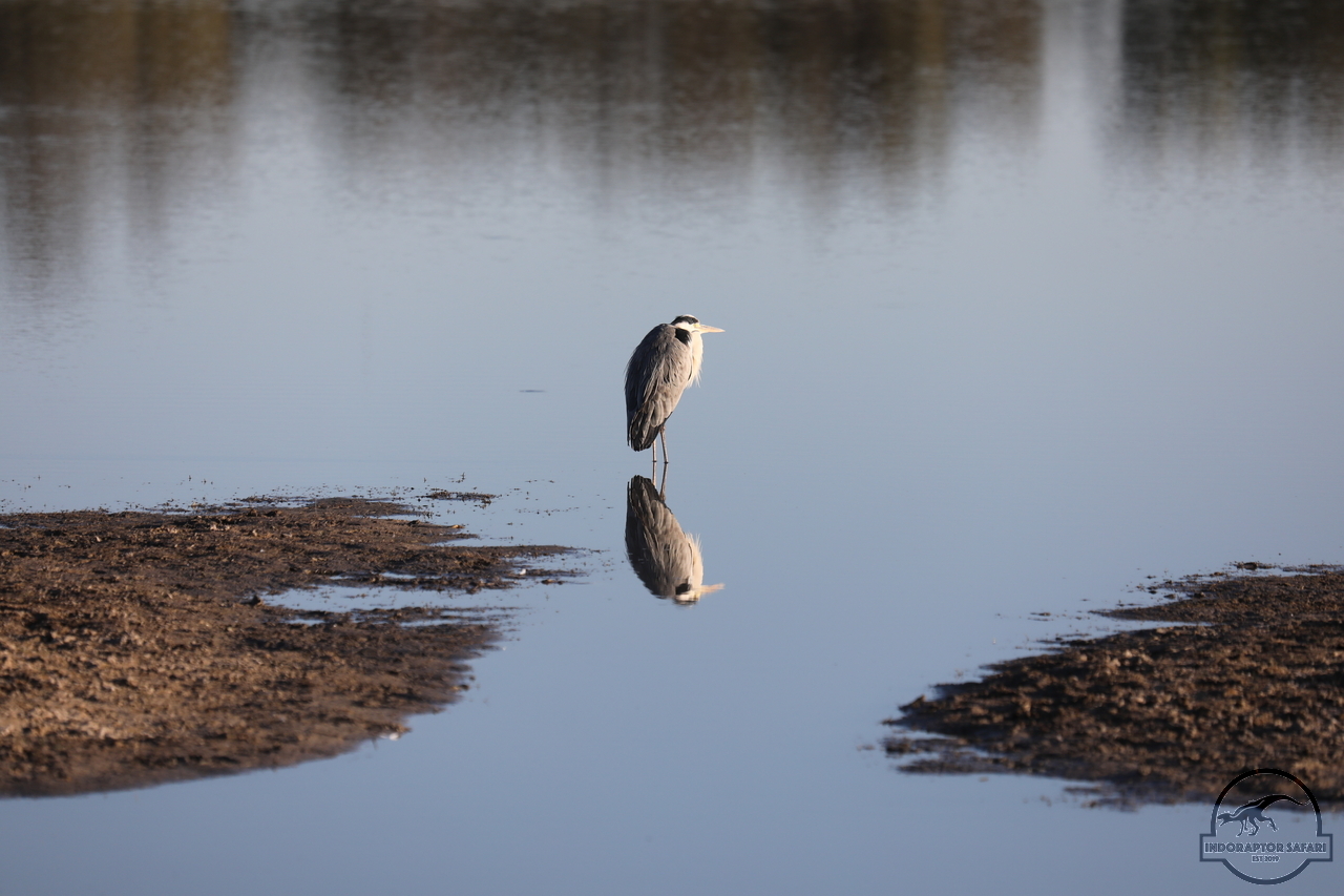 [464] 2019_06_21_12_49_20_Africa_Canon_EOS_5D_Mark_IV_IMG_0003678_00001.jpg