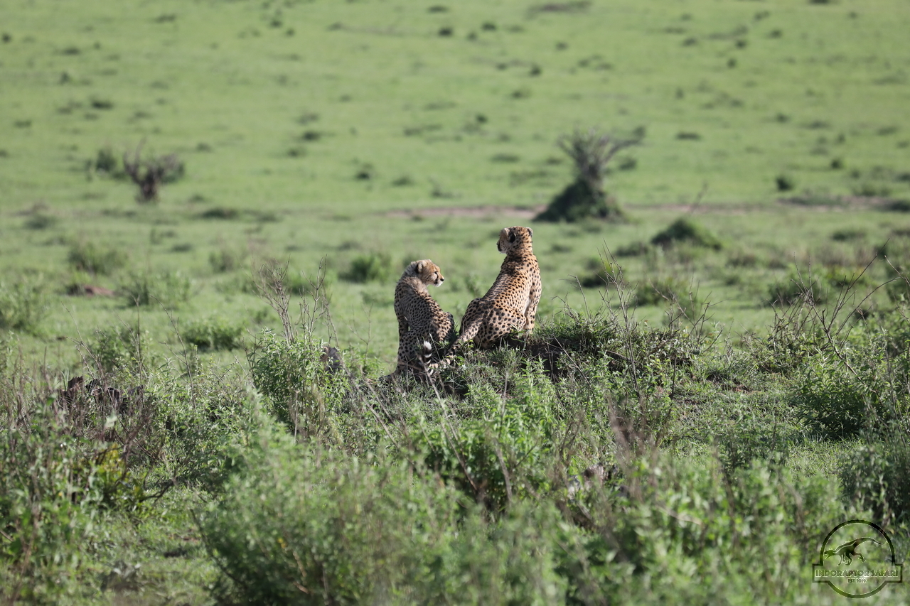 [499] 2019_07_01_12_30_57_Africa_Canon_EOS_5D_Mark_IV_IMG_0010761_00001.jpg