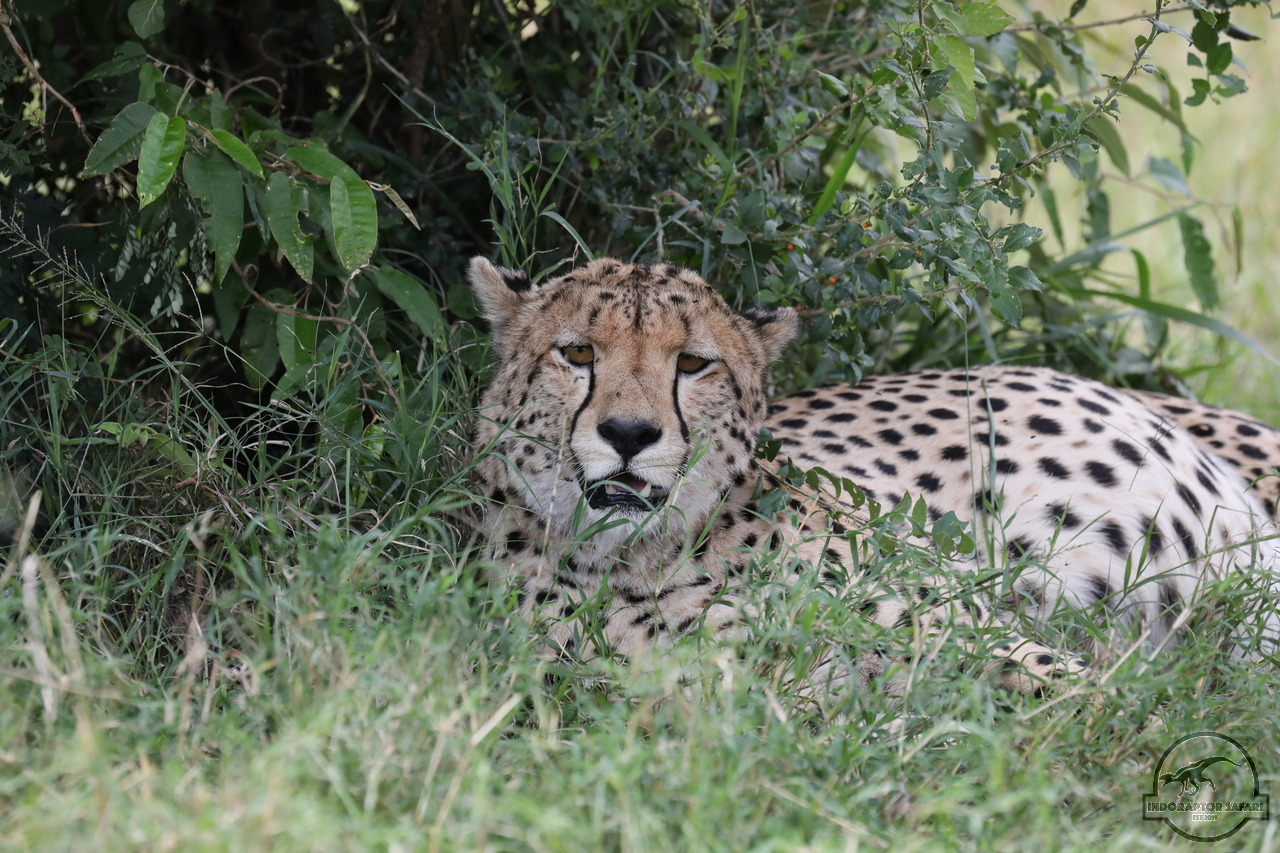 [514] 2019_07_02_16_51_37_Africa_Canon_EOS_5D_Mark_IV_IMG_0012632_00187.jpg