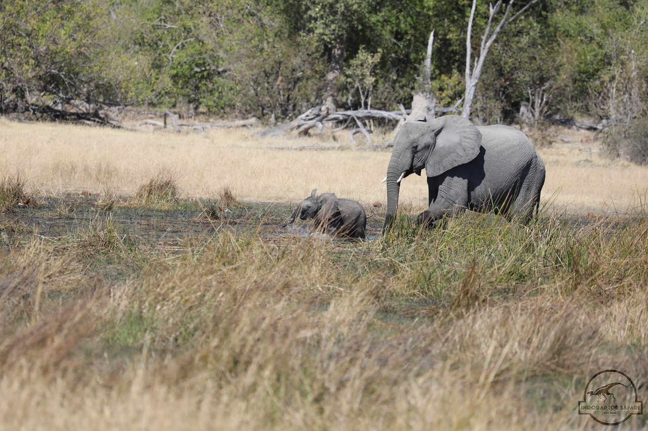 [551] 2019_06_20_16_27_18_Africa_Canon_EOS_5D_Mark_IV_IMG_0001768_00011.jpg