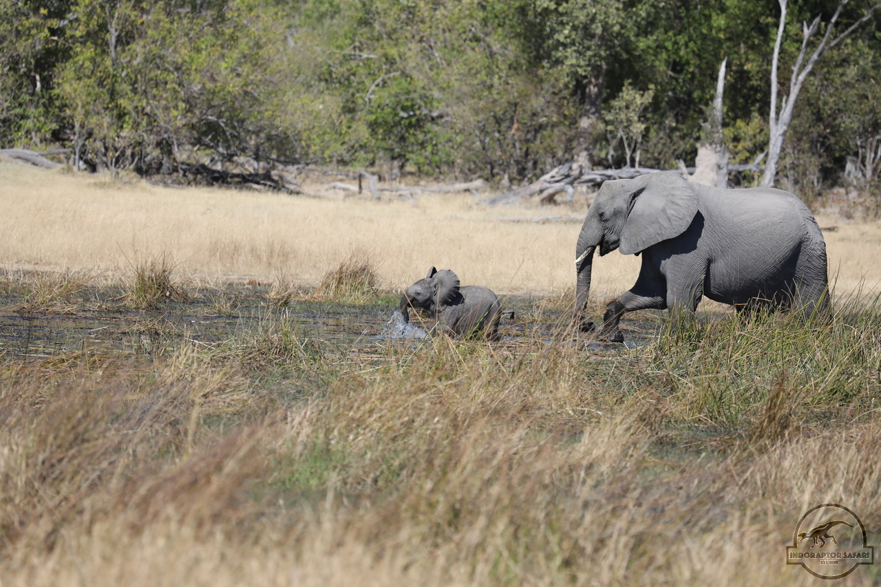 [553] 2019_06_20_16_27_20_Africa_Canon_EOS_5D_Mark_IV_IMG_0001773_00012.jpg