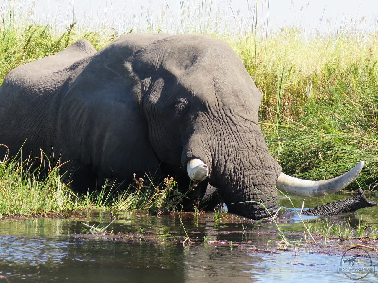 [559] 2019_06_21_07_02_36_Africa_Canon_PowerShot_G16_IMG_0244_00027.jpg