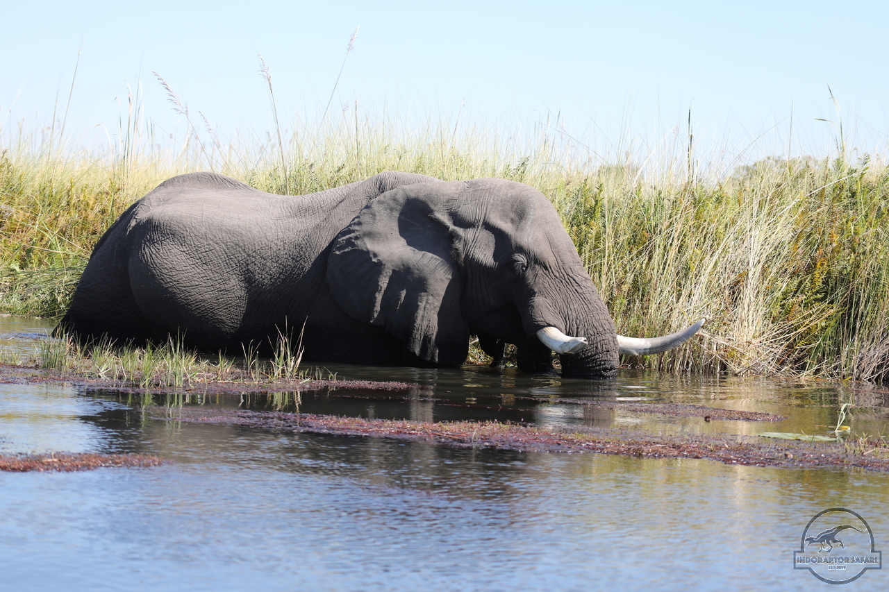 [561] 2019_06_21_17_51_28_Africa_Canon_EOS_5D_Mark_IV_IMG_0004217_00015.jpg