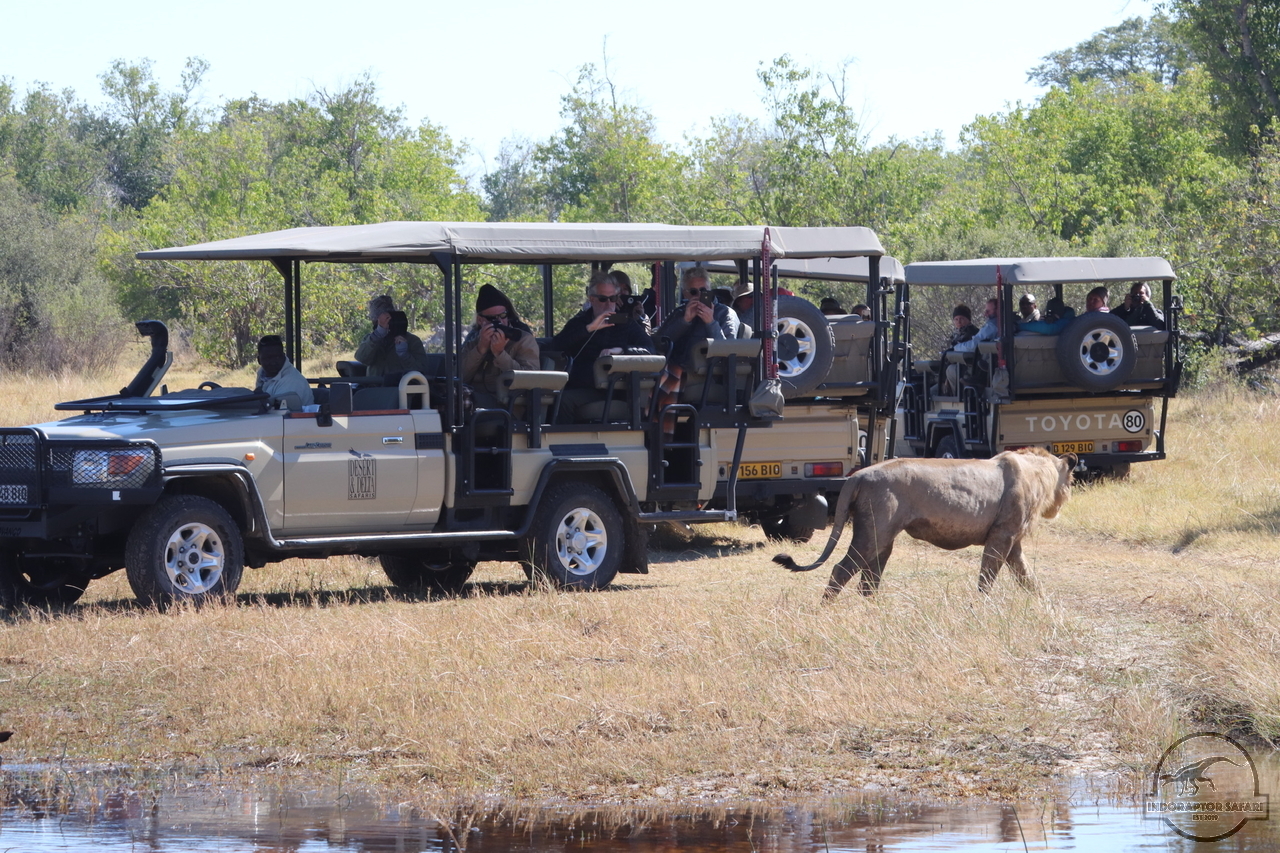 [782] 2019_06_24_10_12_54_Africa_Canon_EOS_77D_IMG__00299.jpg