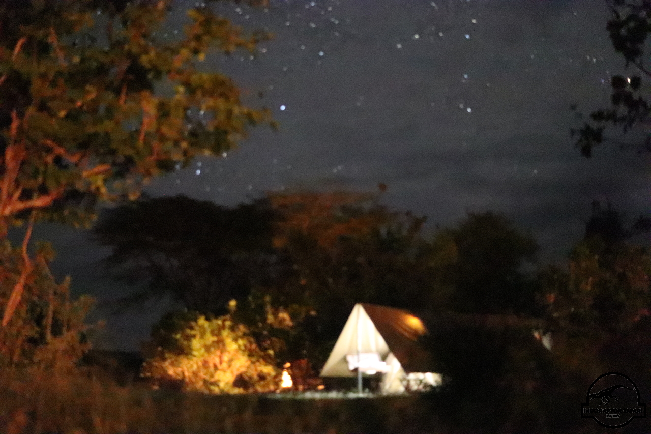 [961] 2019_07_01_22_12_08_Africa_Canon_EOS_77D_IMG_2969_00177.jpg