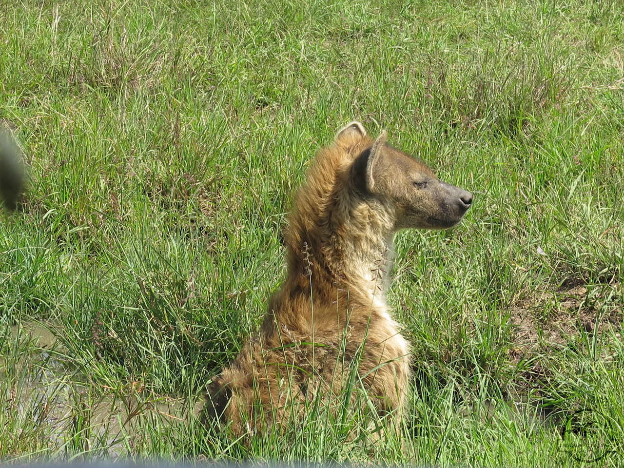 [1061] 2019_07_01_07_38_16_Africa_Canon_PowerShot_G16_IMG_0300_00010.jpg