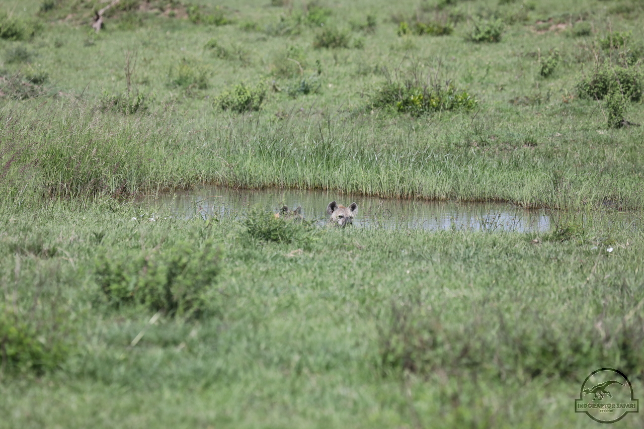 [1065] 2019_07_03_15_05_39_Africa_Canon_EOS_5D_Mark_IV_IMG_0013158_00007.jpg