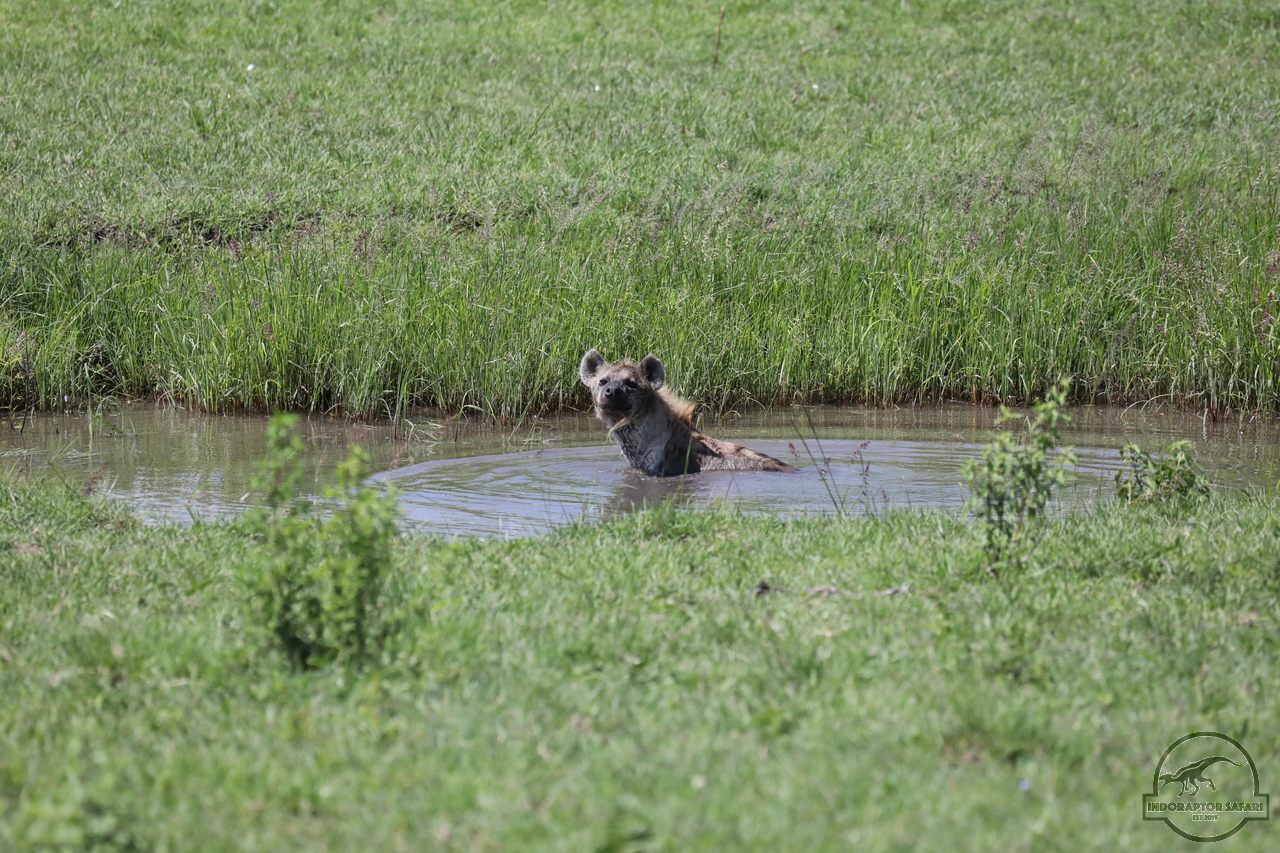 [1068] 2019_07_03_15_09_34_Africa_Canon_EOS_5D_Mark_IV_IMG_0013203_00464.jpg