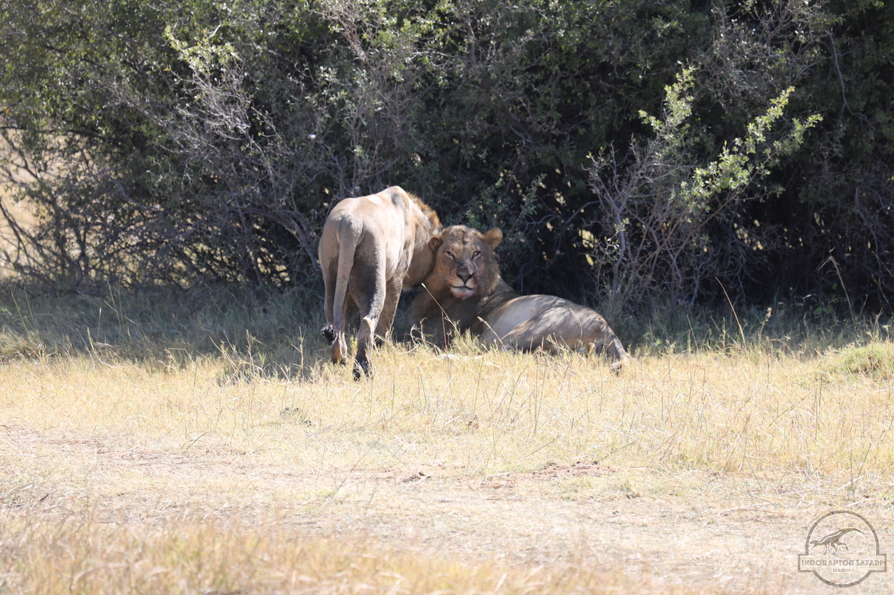 [1077] 2019_06_20_16_08_59_Africa_Canon_EOS_5D_Mark_IV_IMG_0001332_00004.jpg