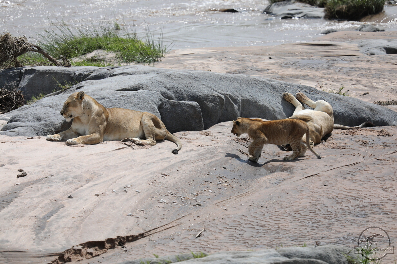 [1108] 2019_06_30_16_17_13_Africa_Canon_EOS_5D_Mark_IV_IMG_0009013_00485.jpg