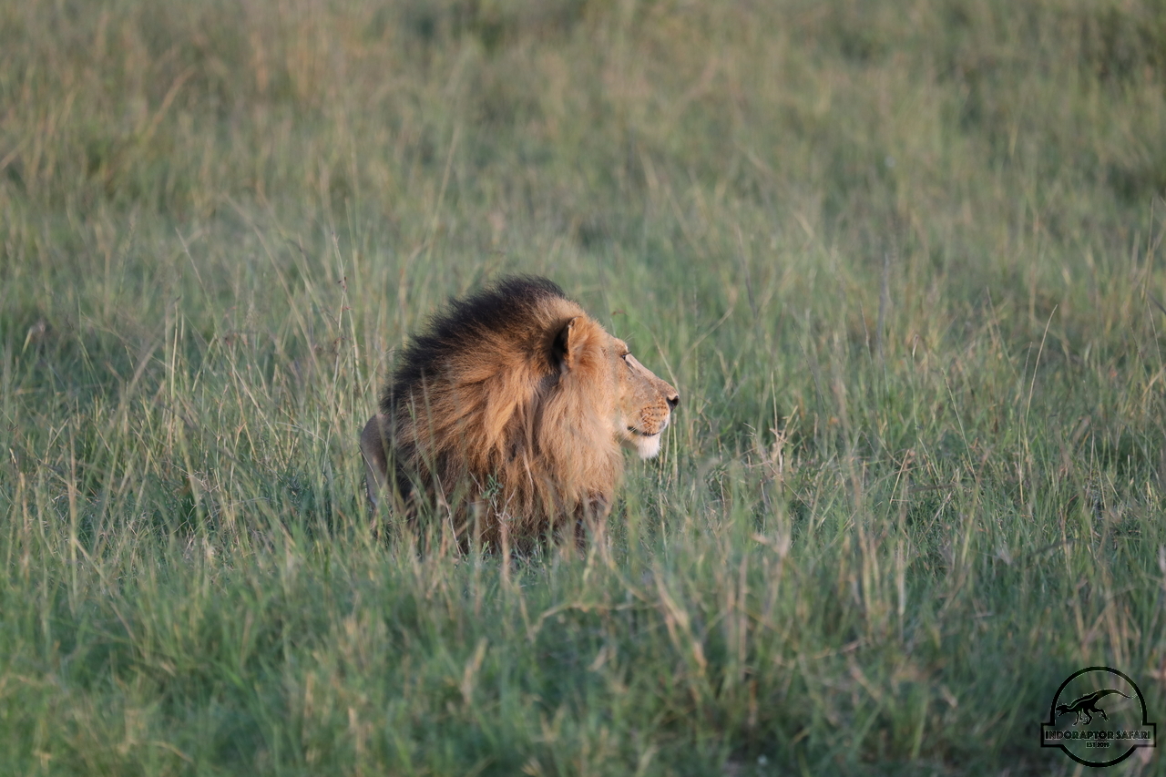 [1112] 2019_07_01_11_05_42_Africa_Canon_EOS_5D_Mark_IV_IMG_0009839_00486.jpg