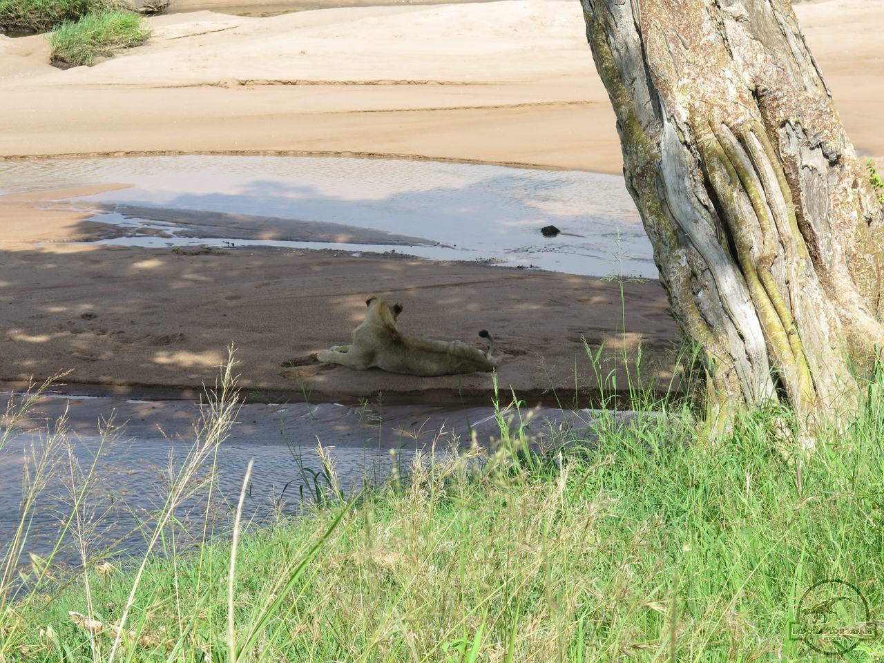 [1122] 2019_07_02_04_39_06_Africa_Canon_PowerShot_G16_IMG_0040_00496.jpg