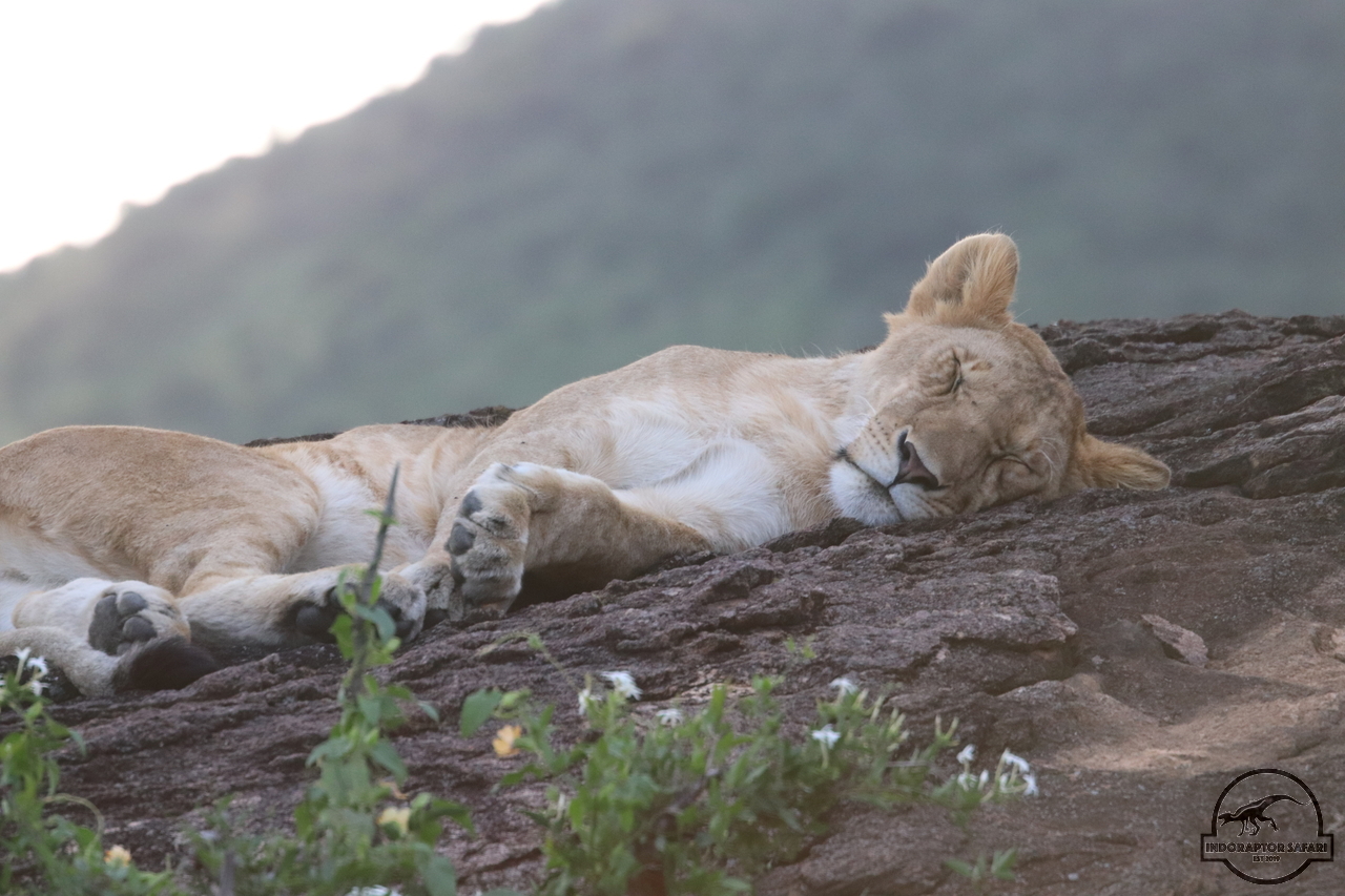 [1136] 2019_07_03_16_49_57_Africa_Canon_EOS_77D_IMG_3736_00504.jpg