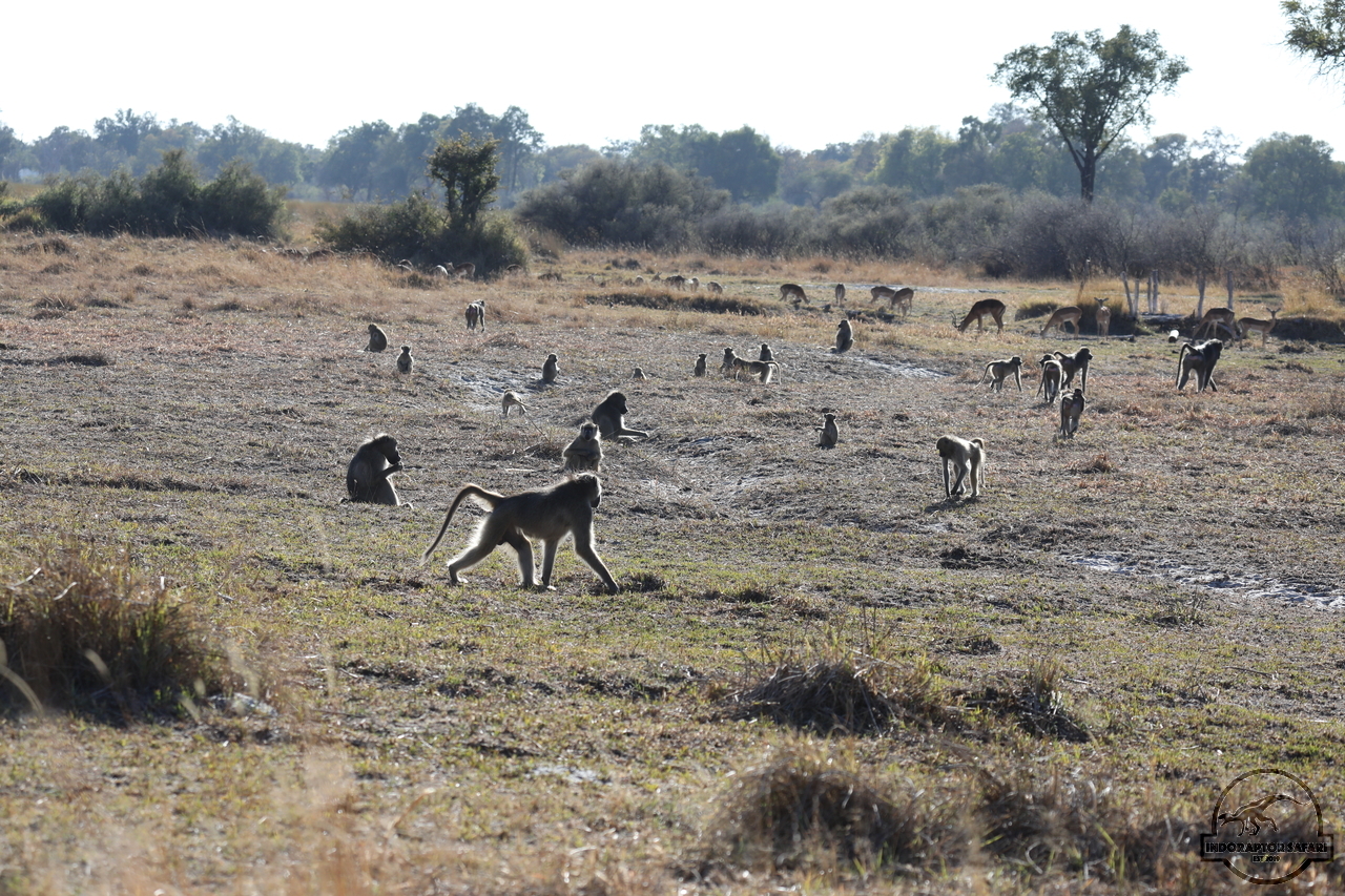 [1163] 2019_06_21_13_56_23_Africa_Canon_EOS_5D_Mark_IV_IMG_0003707_00004.jpg