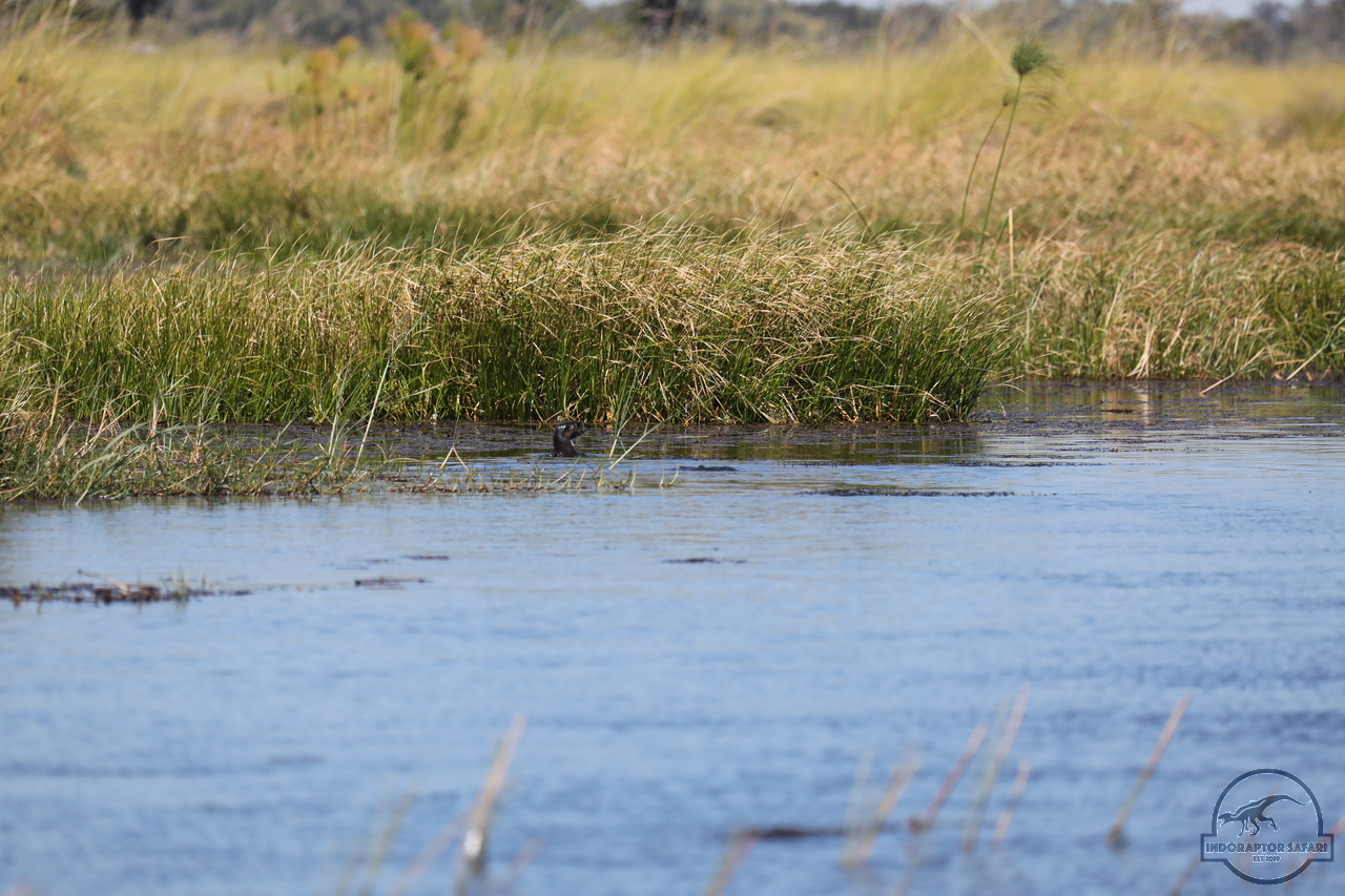 [1177] 2019_06_21_17_32_05_Africa_Canon_EOS_5D_Mark_IV_IMG_0004047_00003.jpg
