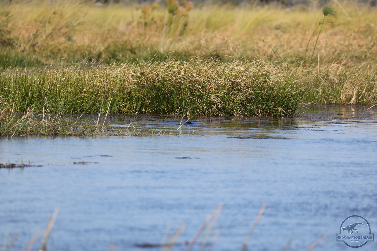 [1191] 2019_06_21_17_32_07_Africa_Canon_EOS_5D_Mark_IV_IMG_0004054_00010.jpg