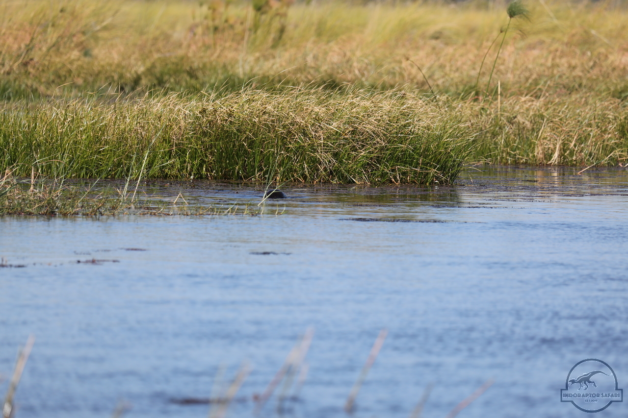 [1194] 2019_06_21_17_32_08_Africa_Canon_EOS_5D_Mark_IV_IMG_0004055_00529.jpg