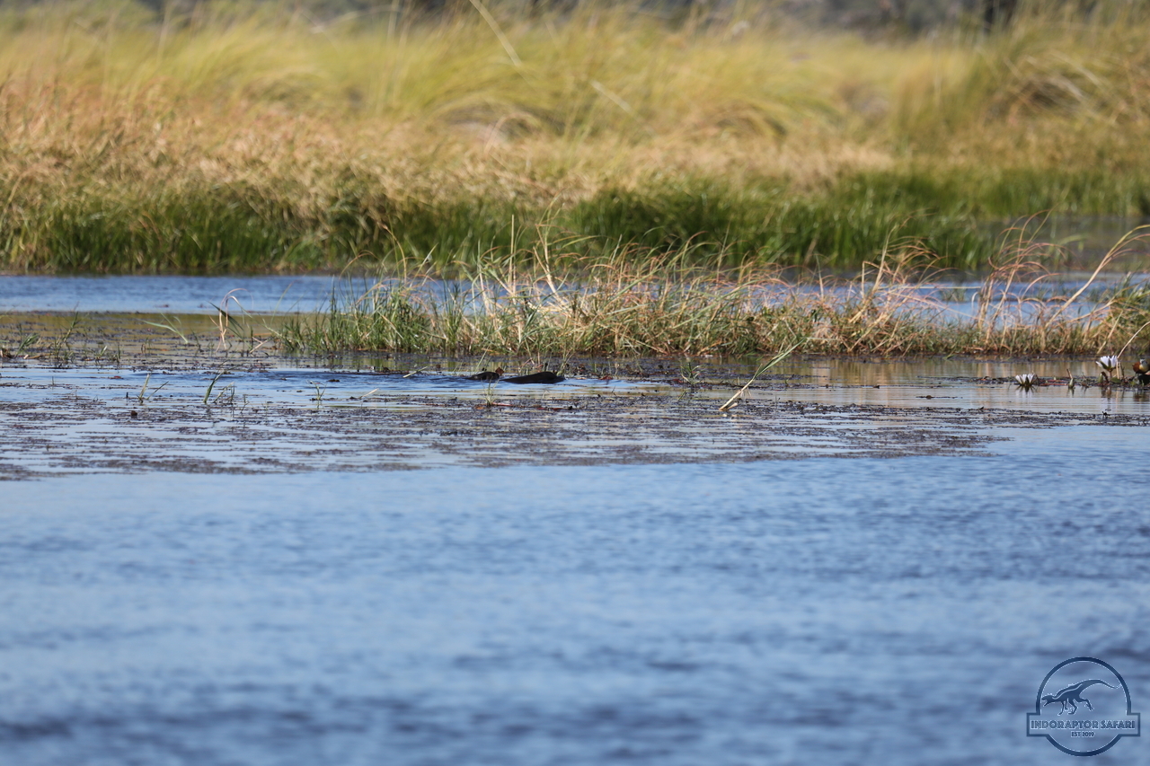[1204] 2019_06_21_17_32_48_Africa_Canon_EOS_5D_Mark_IV_IMG_0004060_00534.jpg