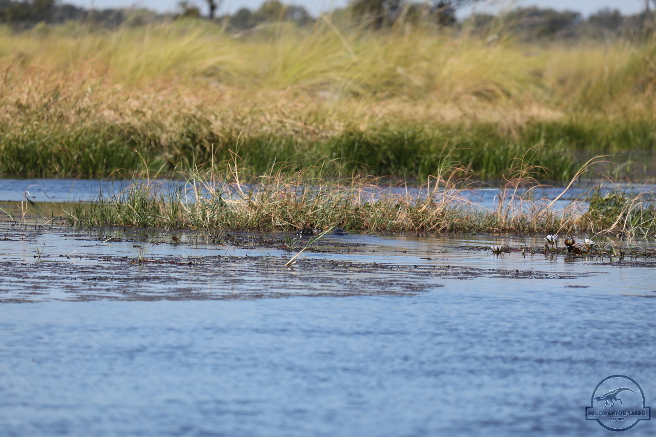[1205] 2019_06_21_17_32_56_Africa_Canon_EOS_5D_Mark_IV_IMG_0004061_00017.jpg