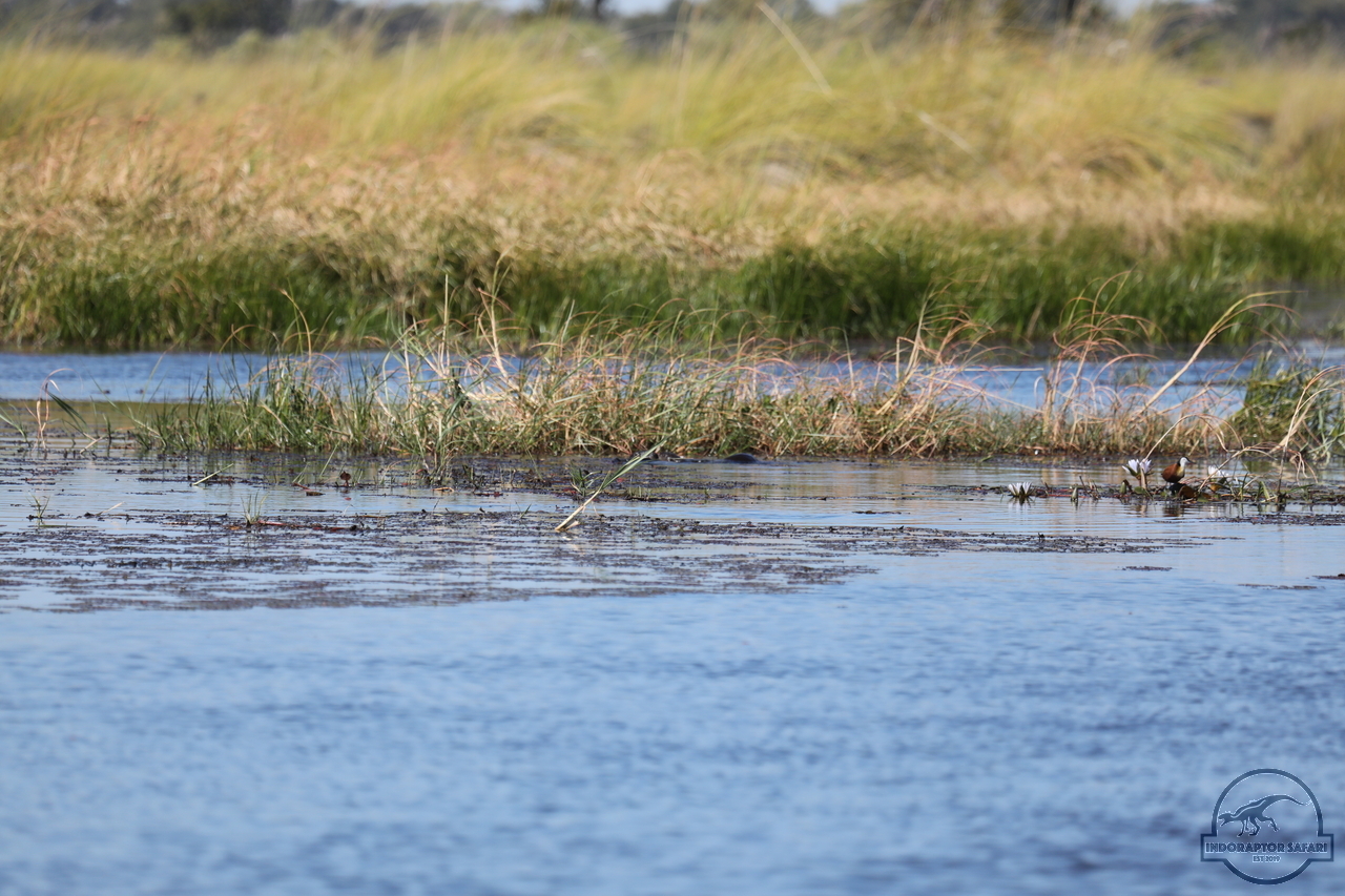 [1213] 2019_06_21_17_32_59_Africa_Canon_EOS_5D_Mark_IV_IMG_0004065_00021.jpg