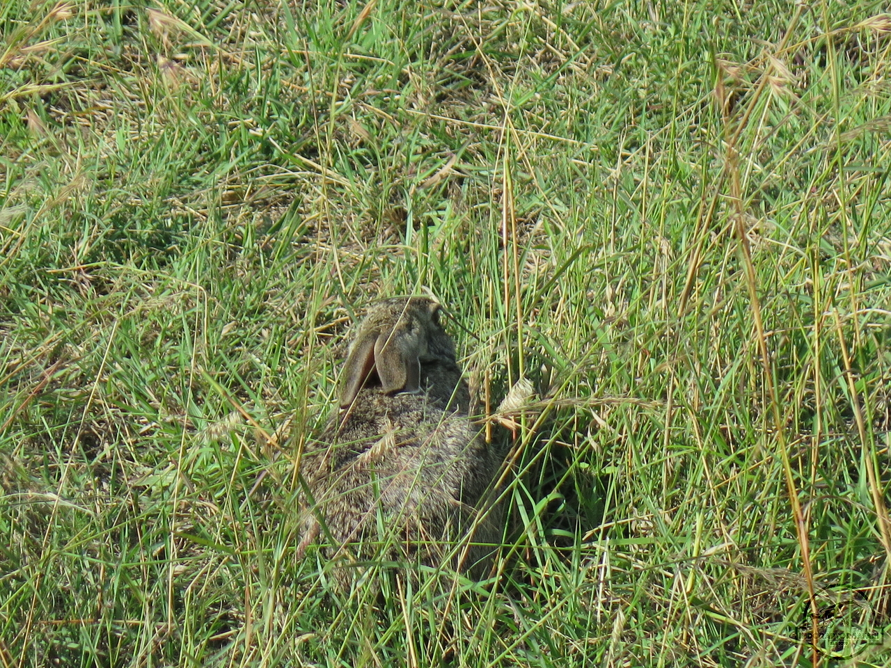 [1217] 2019_07_03_02_31_00_Africa_Canon_PowerShot_G16_IMG_0050_00001.jpg