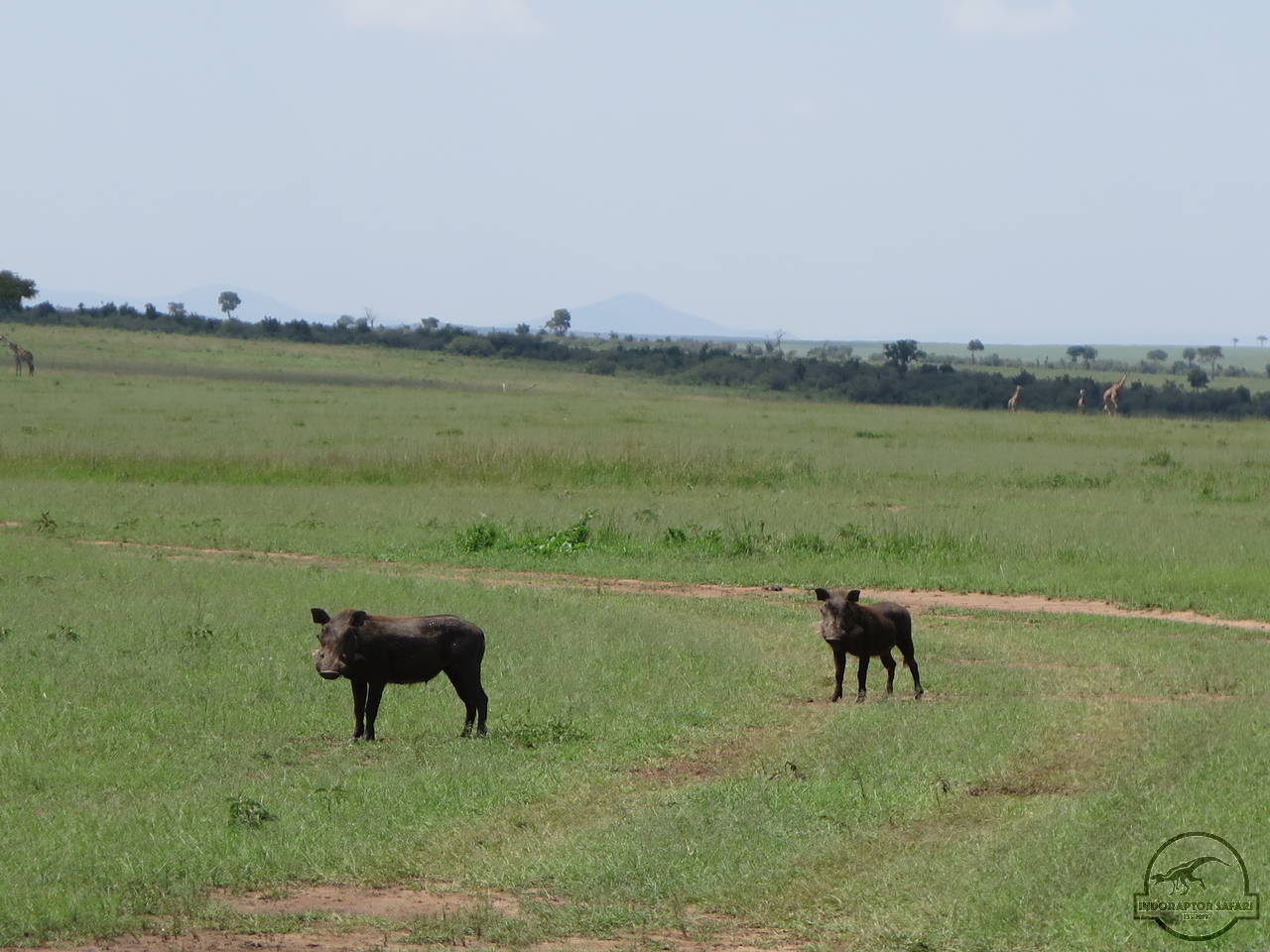 [1221] 2019_07_01_05_16_09_Africa_Canon_PowerShot_G16_IMG_0240_00002.jpg