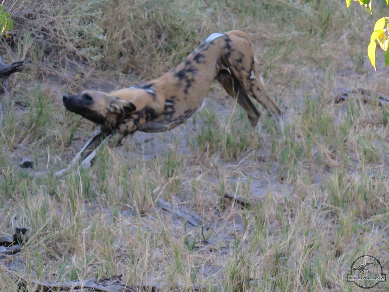 [1235] 2019_06_22_11_21_12_Africa_Canon_PowerShot_G16_IMG_0179_00015.jpg