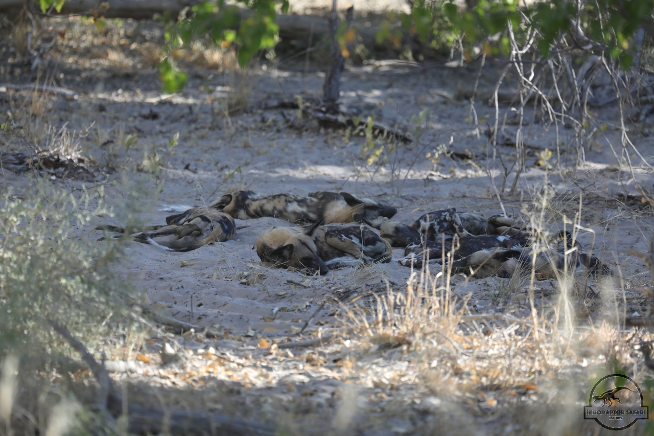[1242] 2019_06_22_21_23_11_Africa_Canon_EOS_5D_Mark_IV_IMG_0002887_00548.jpg