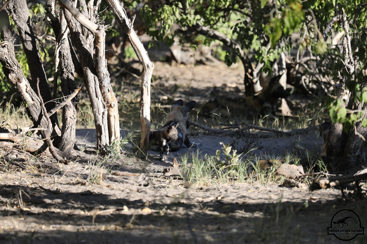 [1246] 2019_06_22_21_31_50_Africa_Canon_EOS_5D_Mark_IV_IMG_0003103_00550.jpg
