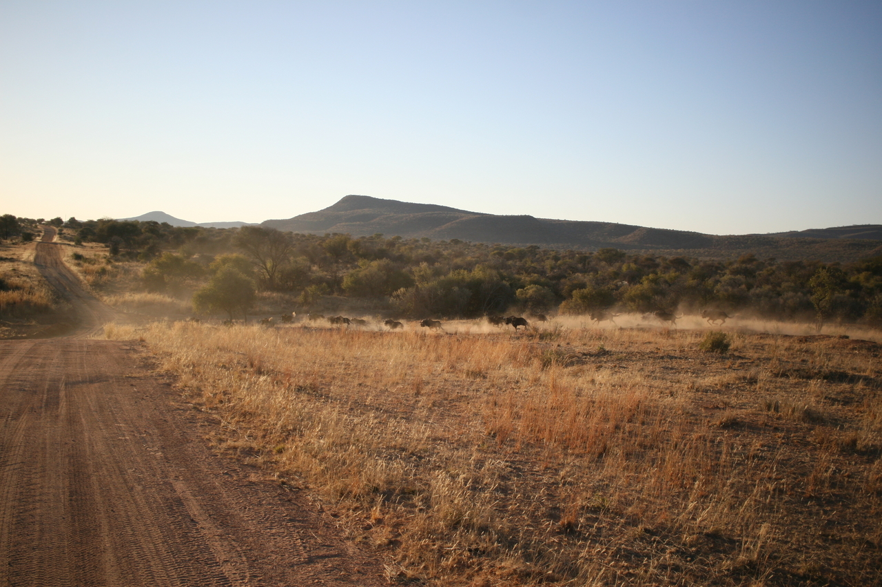 [634] 2016_06_22_02_18_25_Africa_Canon_EOS_30D_IMG_1756_00023.jpg