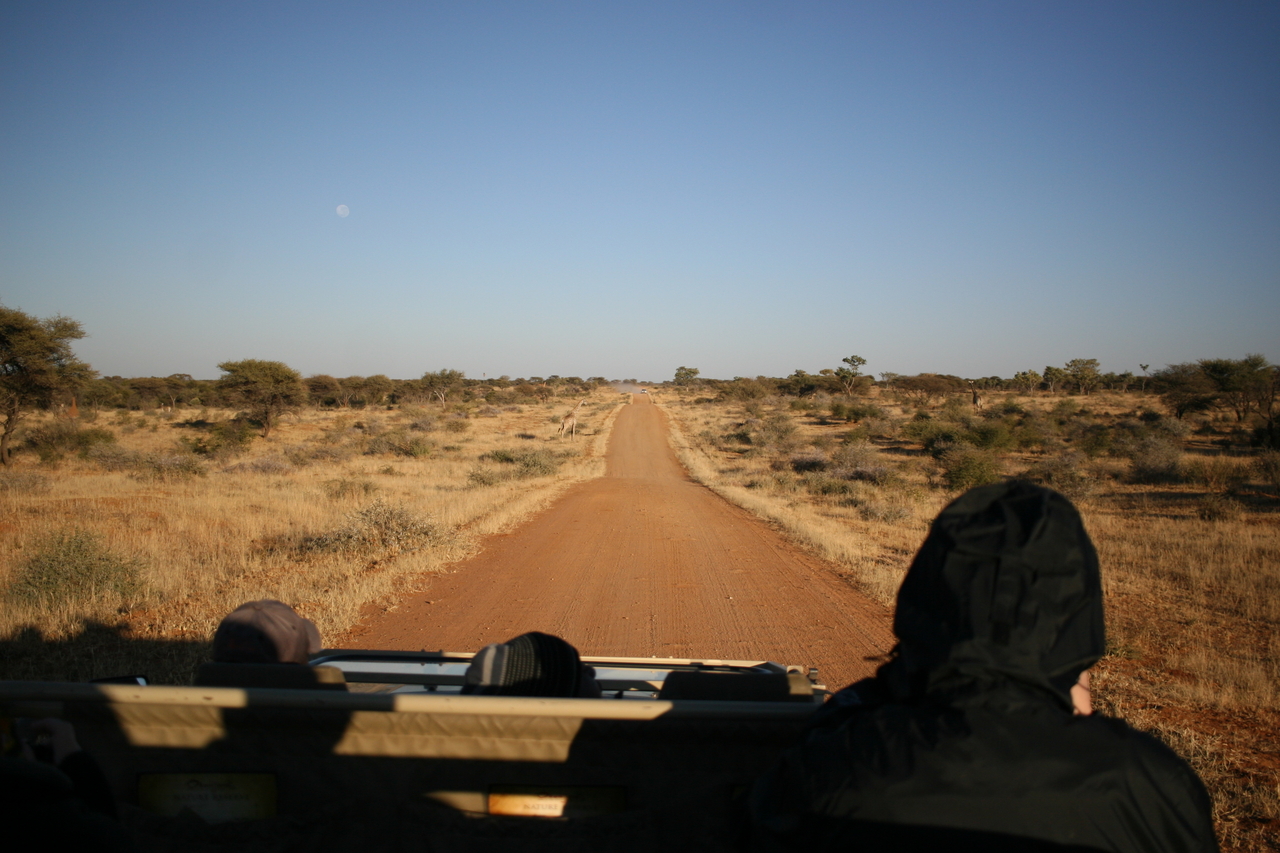 [674] 2016_06_22_02_28_55_Africa_Canon_EOS_30D_IMG_1761_00028.jpg