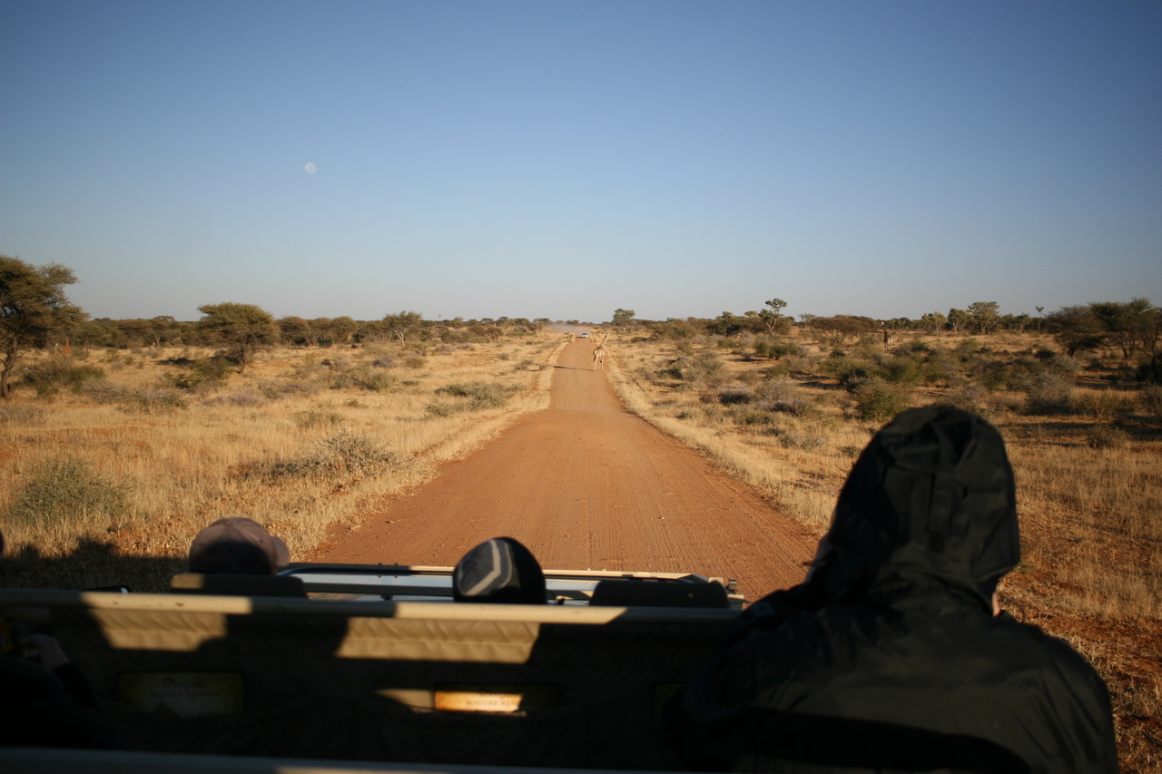 [676] 2016_06_22_02_29_09_Africa_Canon_EOS_30D_IMG_1762_00029.jpg