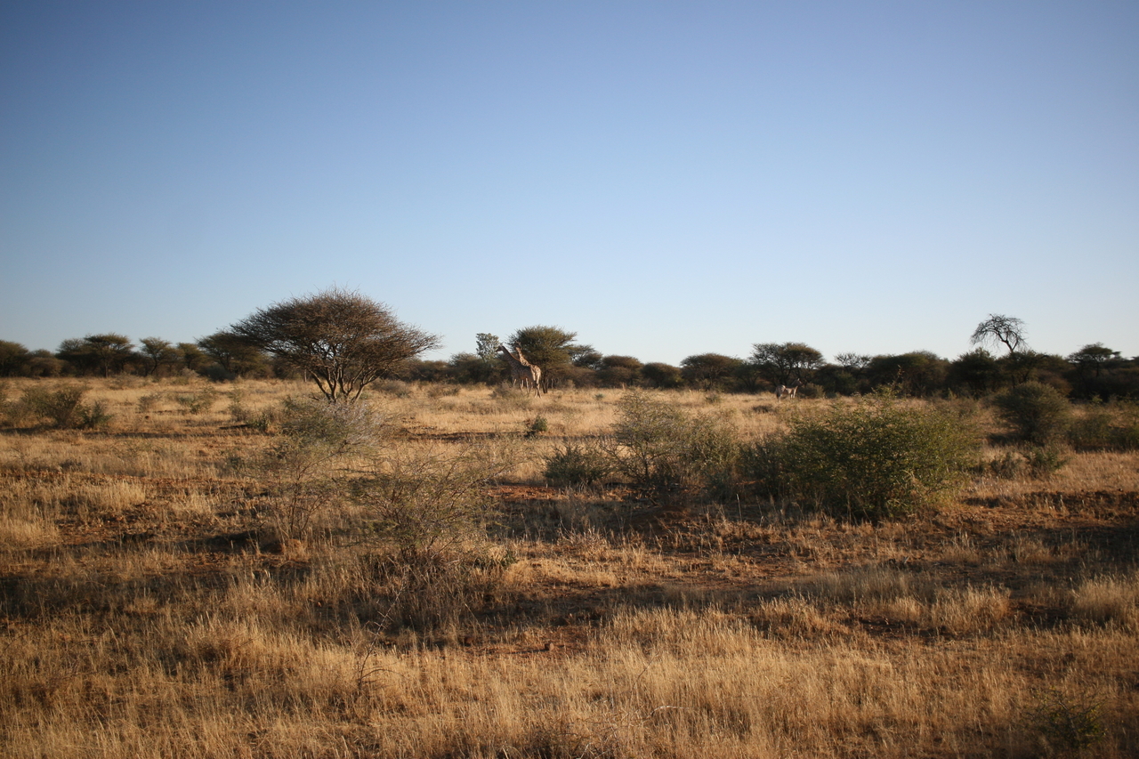 [683] 2016_06_22_02_30_38_Africa_Canon_EOS_30D_IMG_1765_00211.jpg