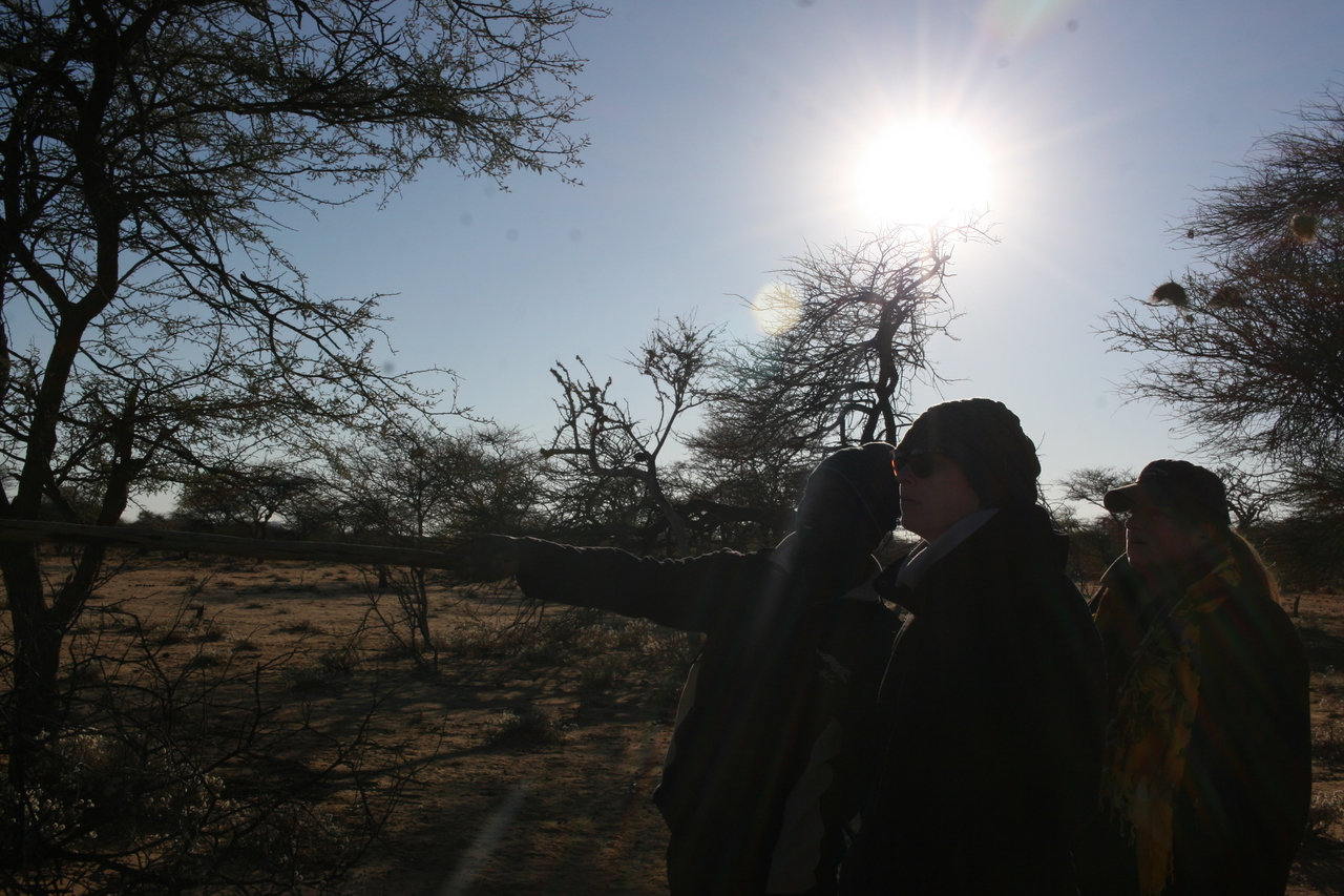 [1082] 2016_06_22_02_54_12_Africa_Canon_EOS_30D_IMG_1771_00217.jpg