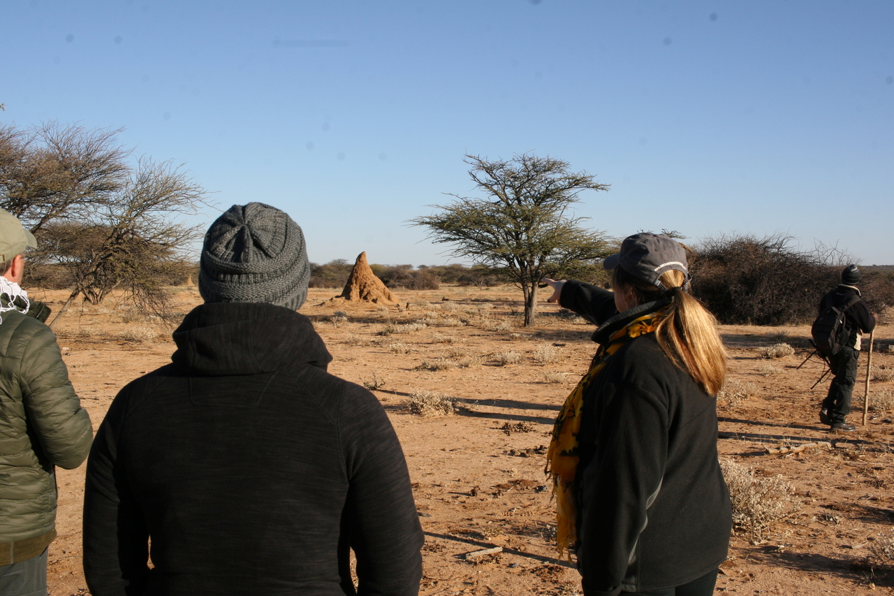 [1163] 2016_06_22_02_55_25_Africa_Canon_EOS_30D_IMG_1773_00040.jpg