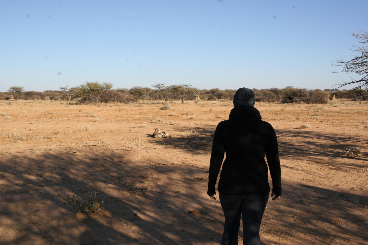 [1273] 2016_06_22_03_00_08_Africa_Canon_EOS_30D_IMG_1776_00222.jpg