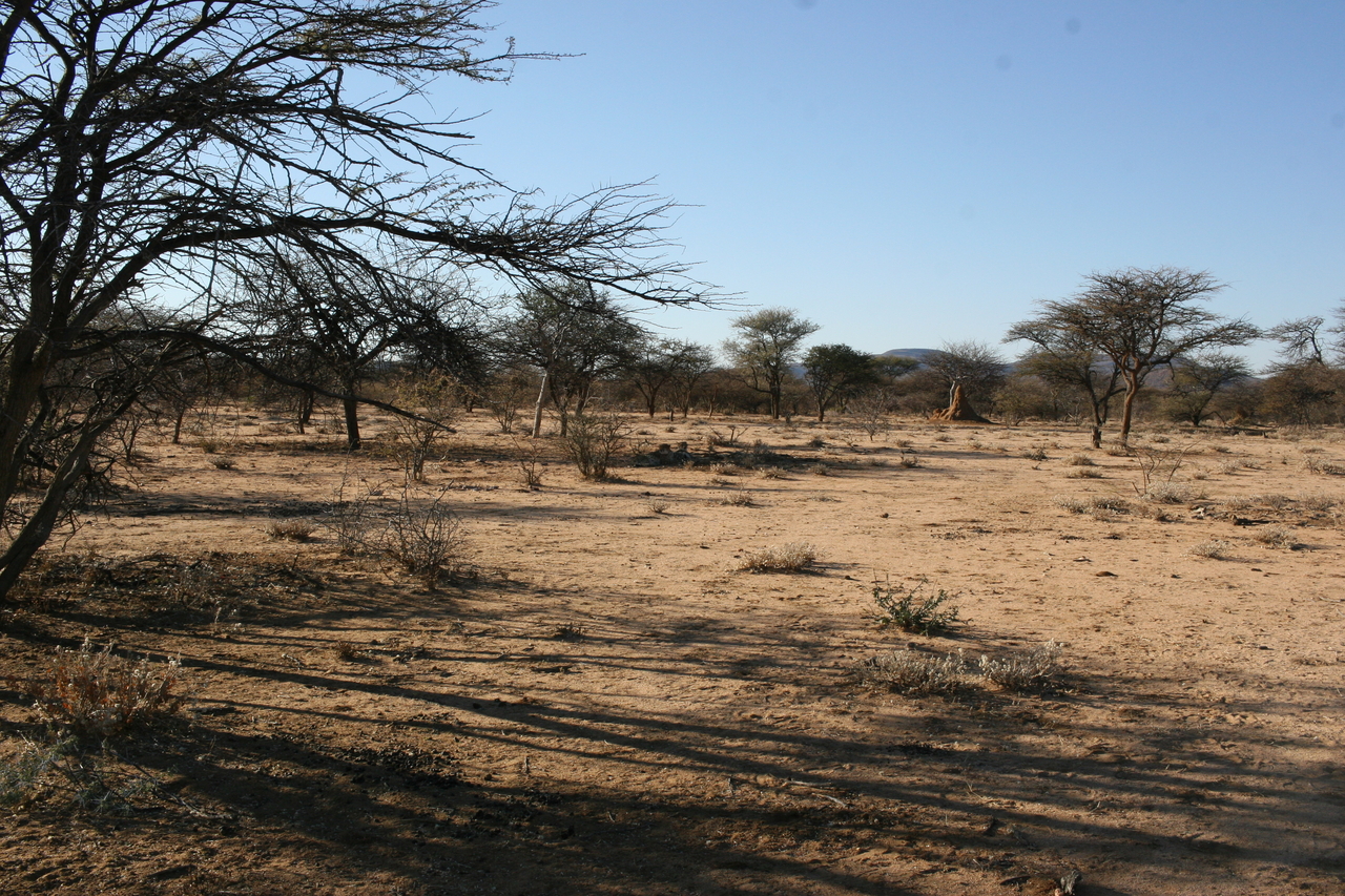 [1562] 2016_06_22_03_11_59_Africa_Canon_EOS_30D_IMG_1781_00048.jpg