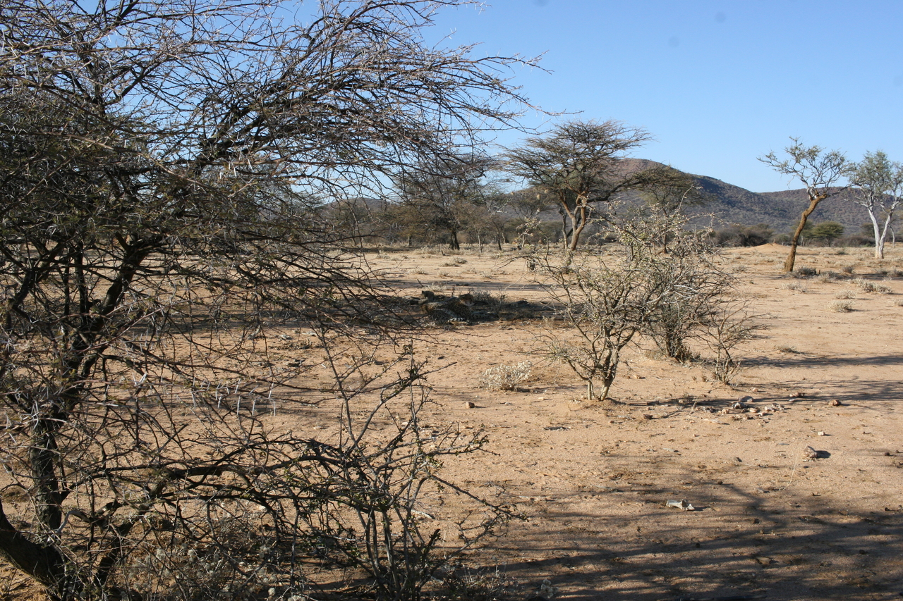 [1641] 2016_06_22_03_15_24_Africa_Canon_EOS_30D_IMG_1787_00054.jpg