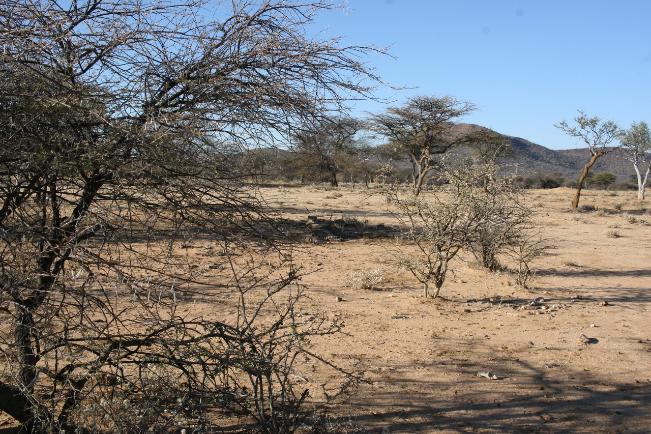 [1644] 2016_06_22_03_15_49_Africa_Canon_EOS_30D_IMG_1788_00234.jpg