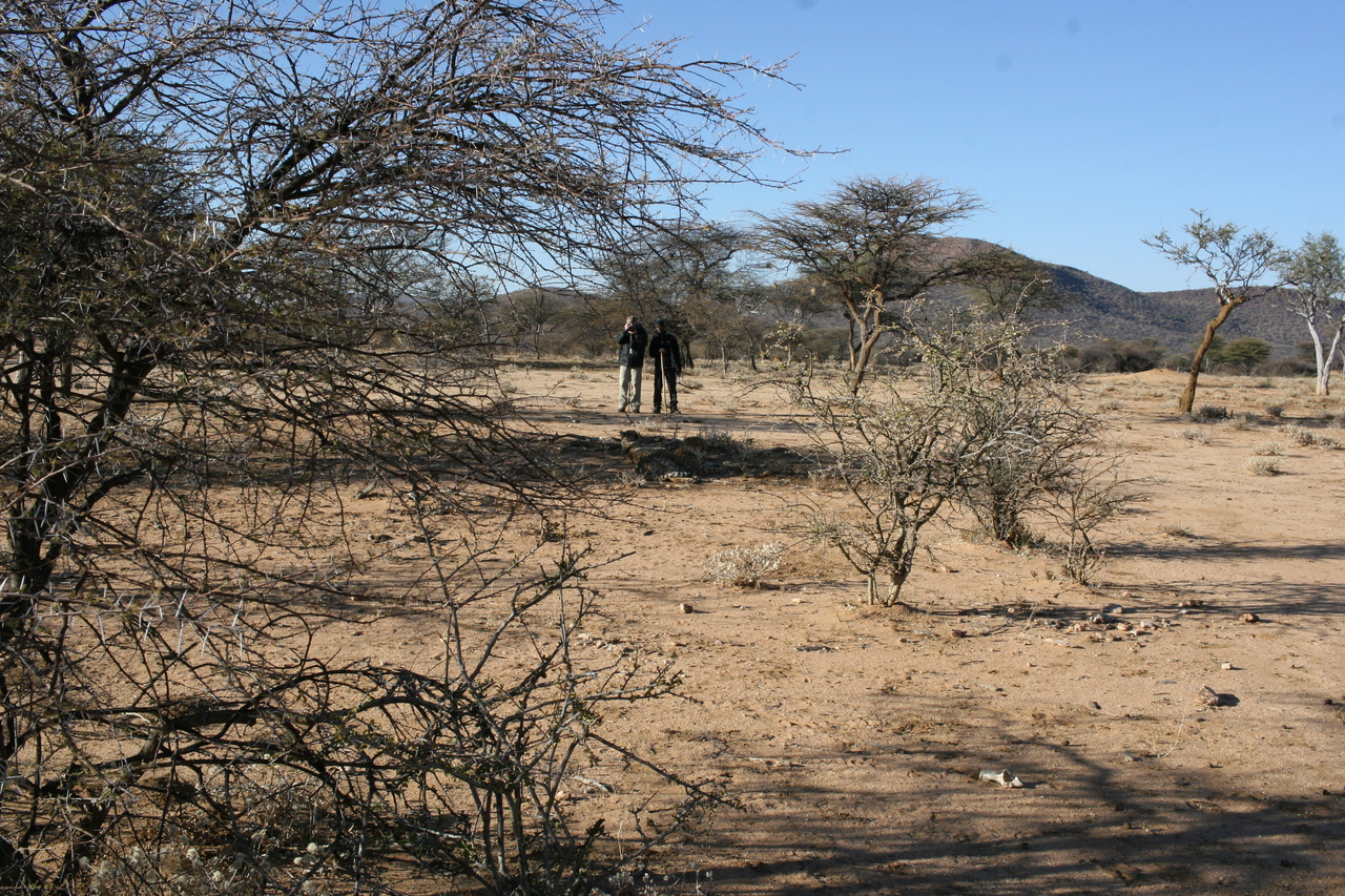 [1646] 2016_06_22_03_17_18_Africa_Canon_EOS_30D_IMG_1789_00235.jpg