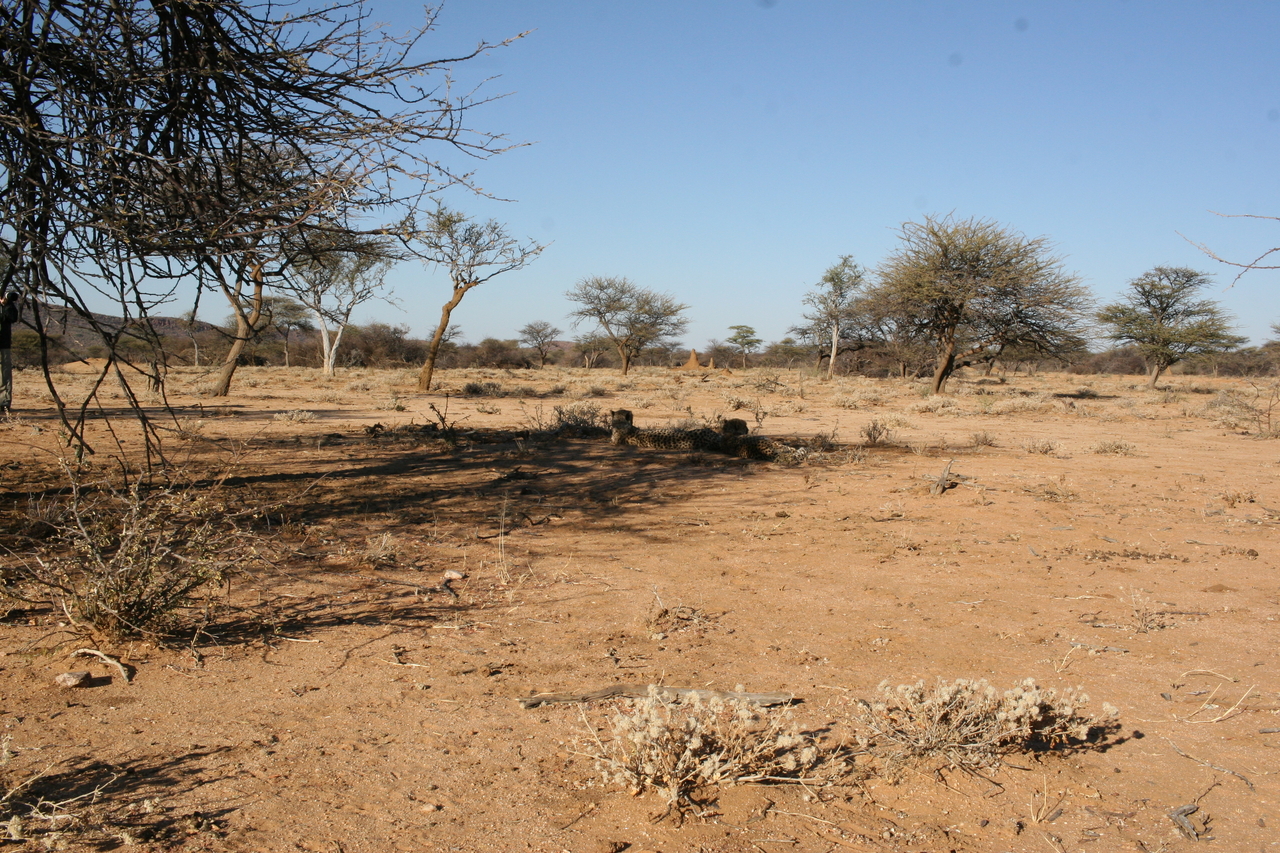 [1778] 2016_06_22_03_20_39_Africa_Canon_EOS_30D_IMG_1791_00058.jpg