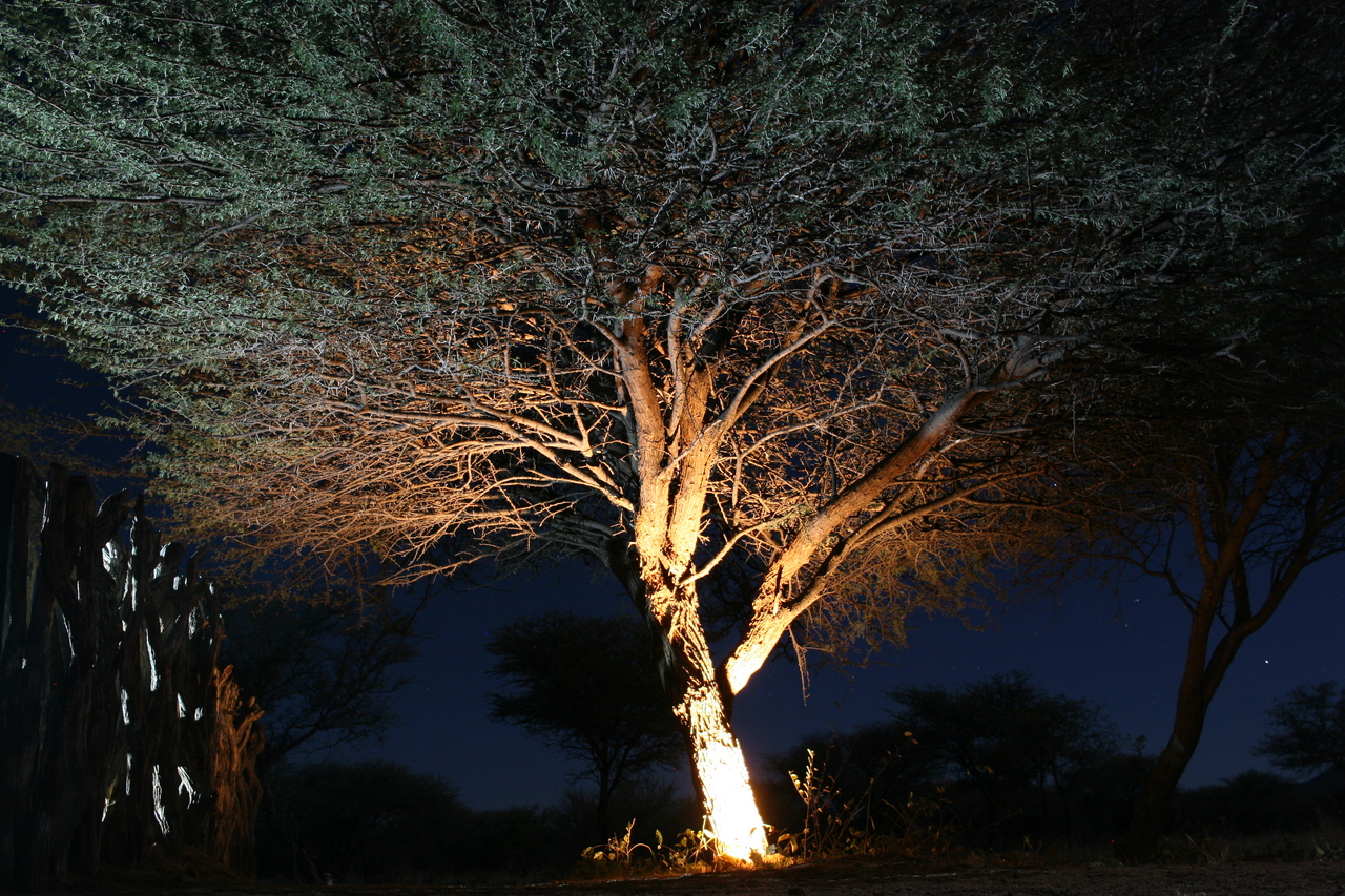 [3743] 2016_06_22_17_53_50_Africa_Canon_EOS_30D_IMG_1824_00268.jpg