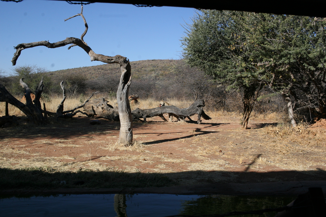 [5959] 2016_06_23_10_28_57_Africa_Canon_EOS_30D_IMG_1828_00093.jpg