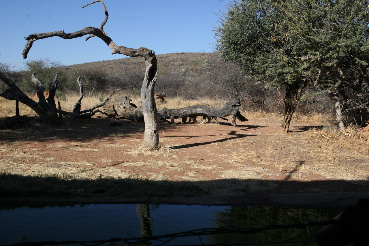 [5979] 2016_06_23_10_29_05_Africa_Canon_EOS_30D_IMG_1829_00094.jpg