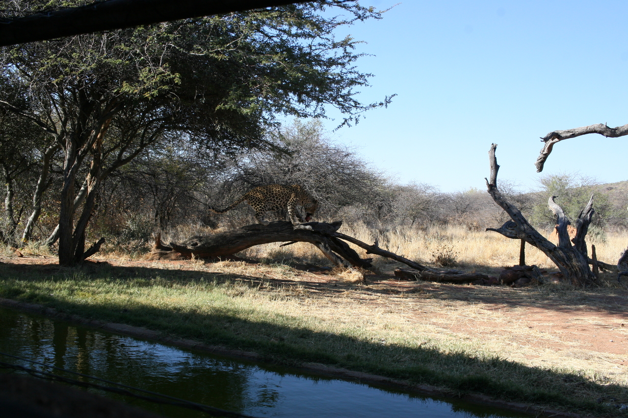 [5998] 2016_06_23_10_29_32_Africa_Canon_EOS_30D_IMG_1832_00276.jpg