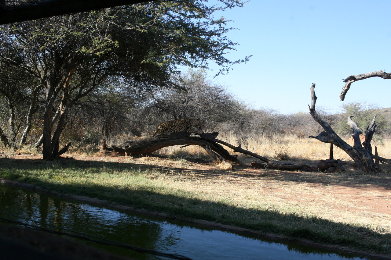 [6001] 2016_06_23_10_29_36_Africa_Canon_EOS_30D_IMG_1834_00099.jpg